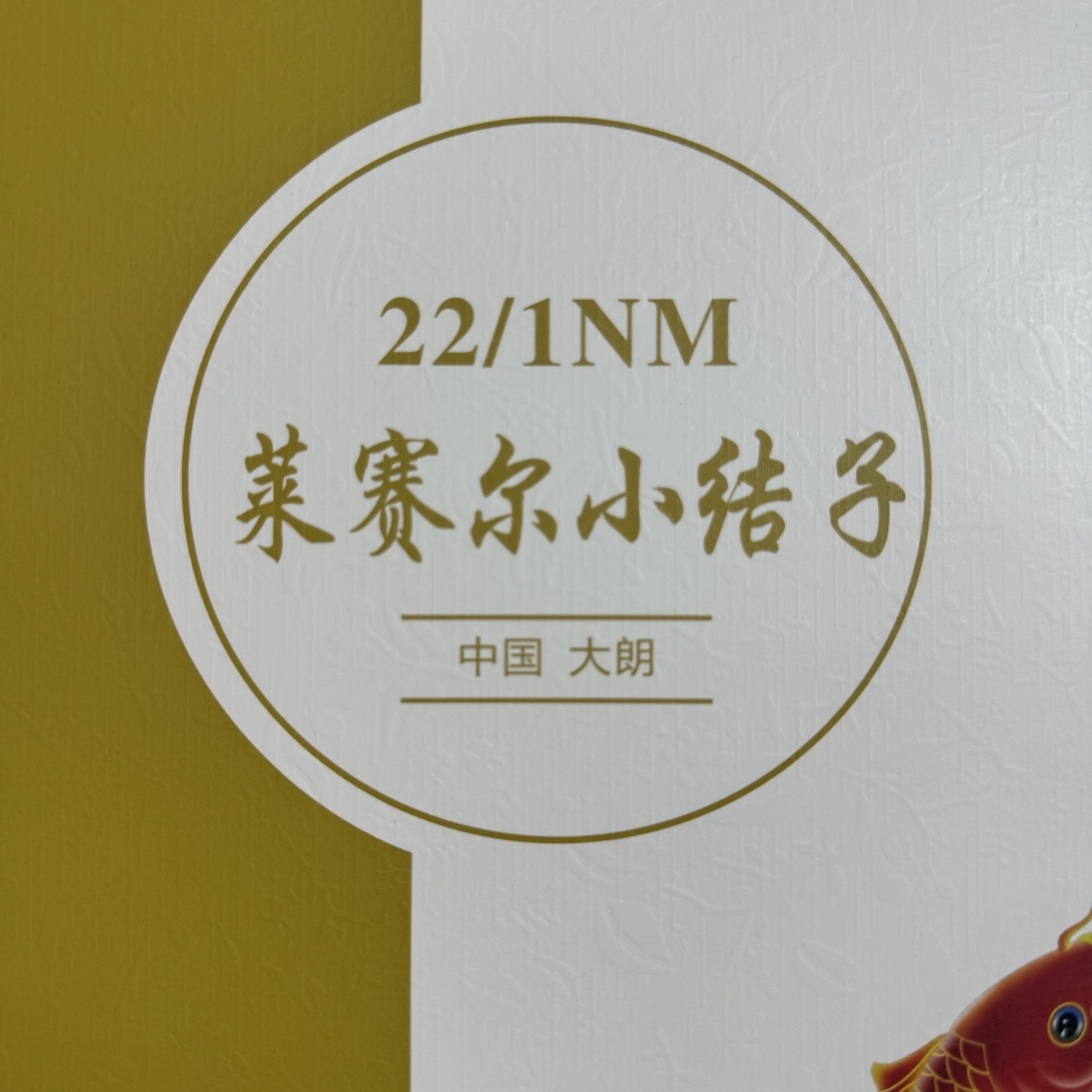 1/22NM萊賽爾小結子