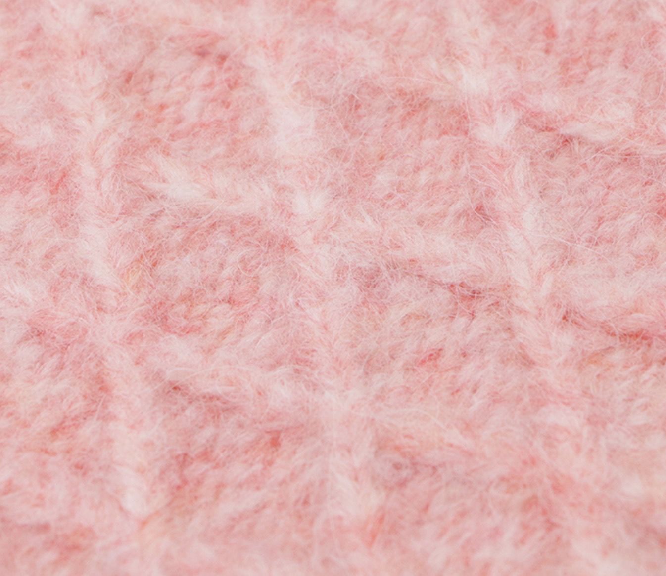 秘鲁苏瑞羊驼
