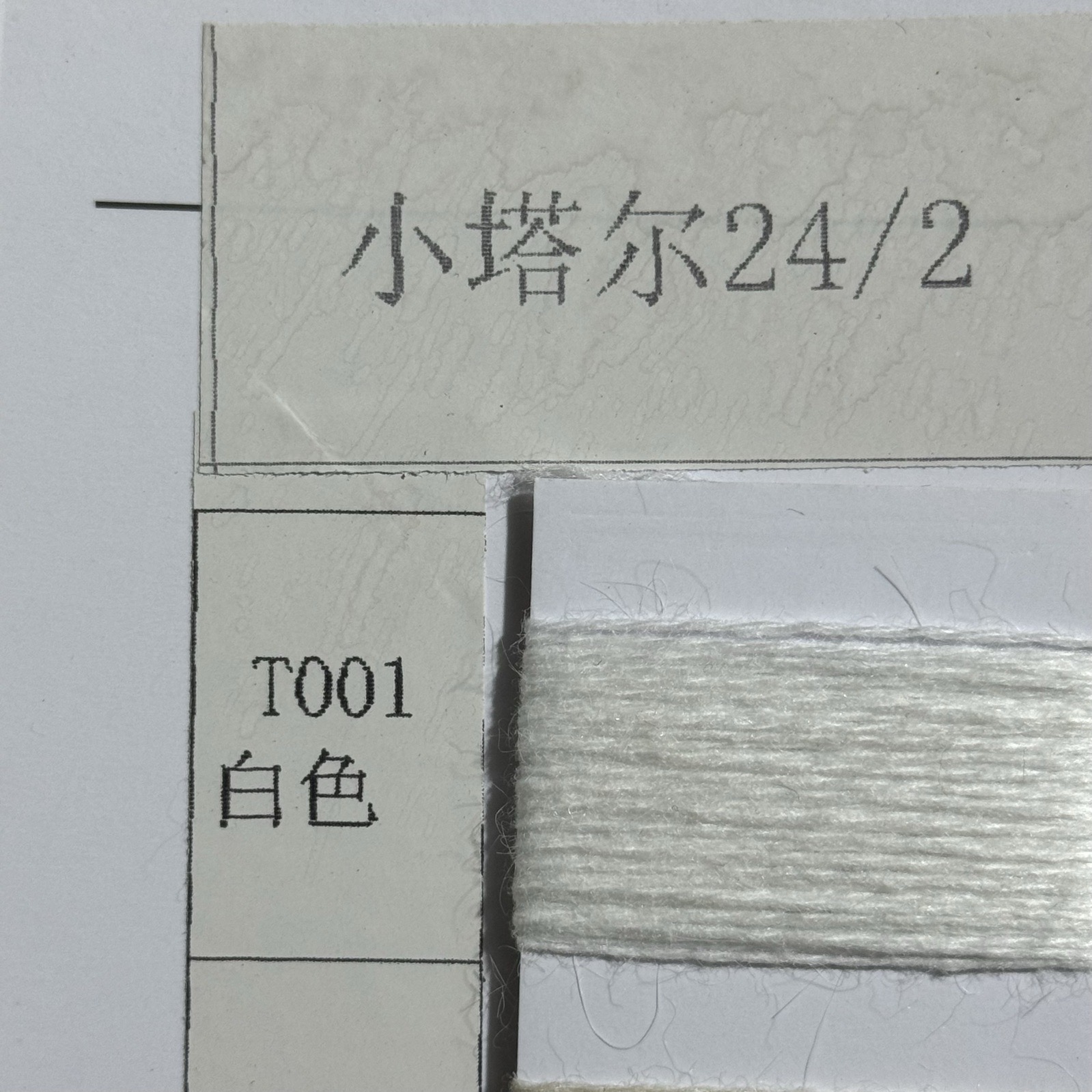2/24小塔爾