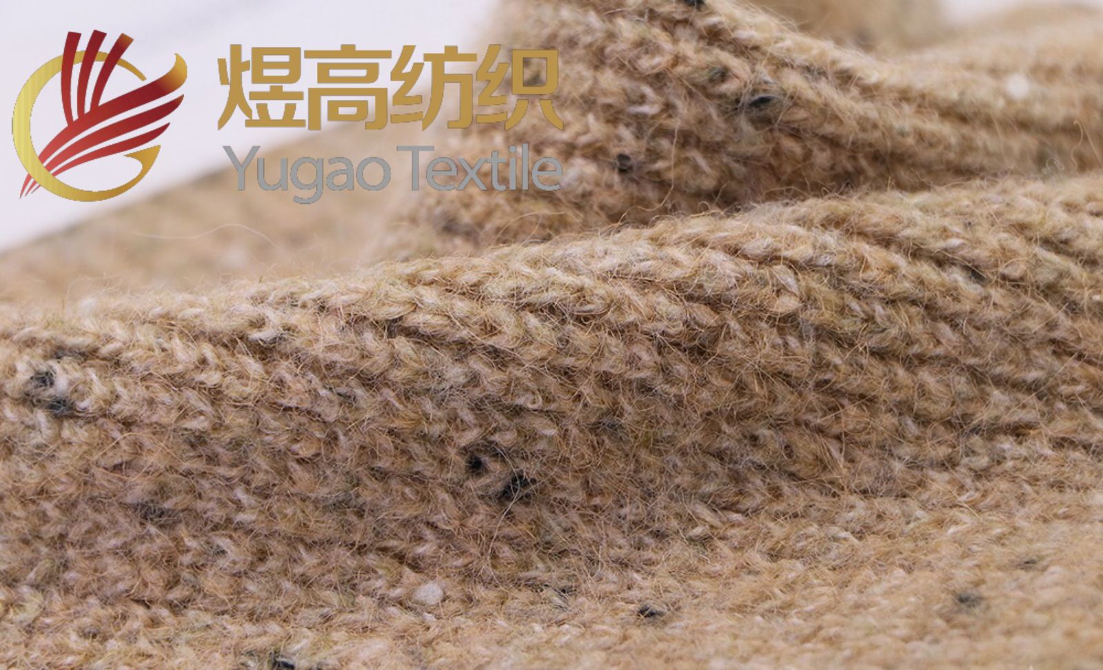 斑点羊驼