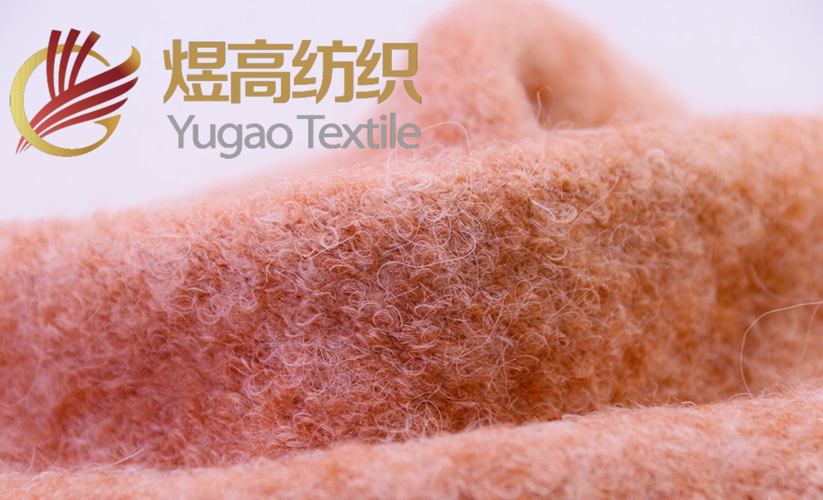 网红圈圈纱