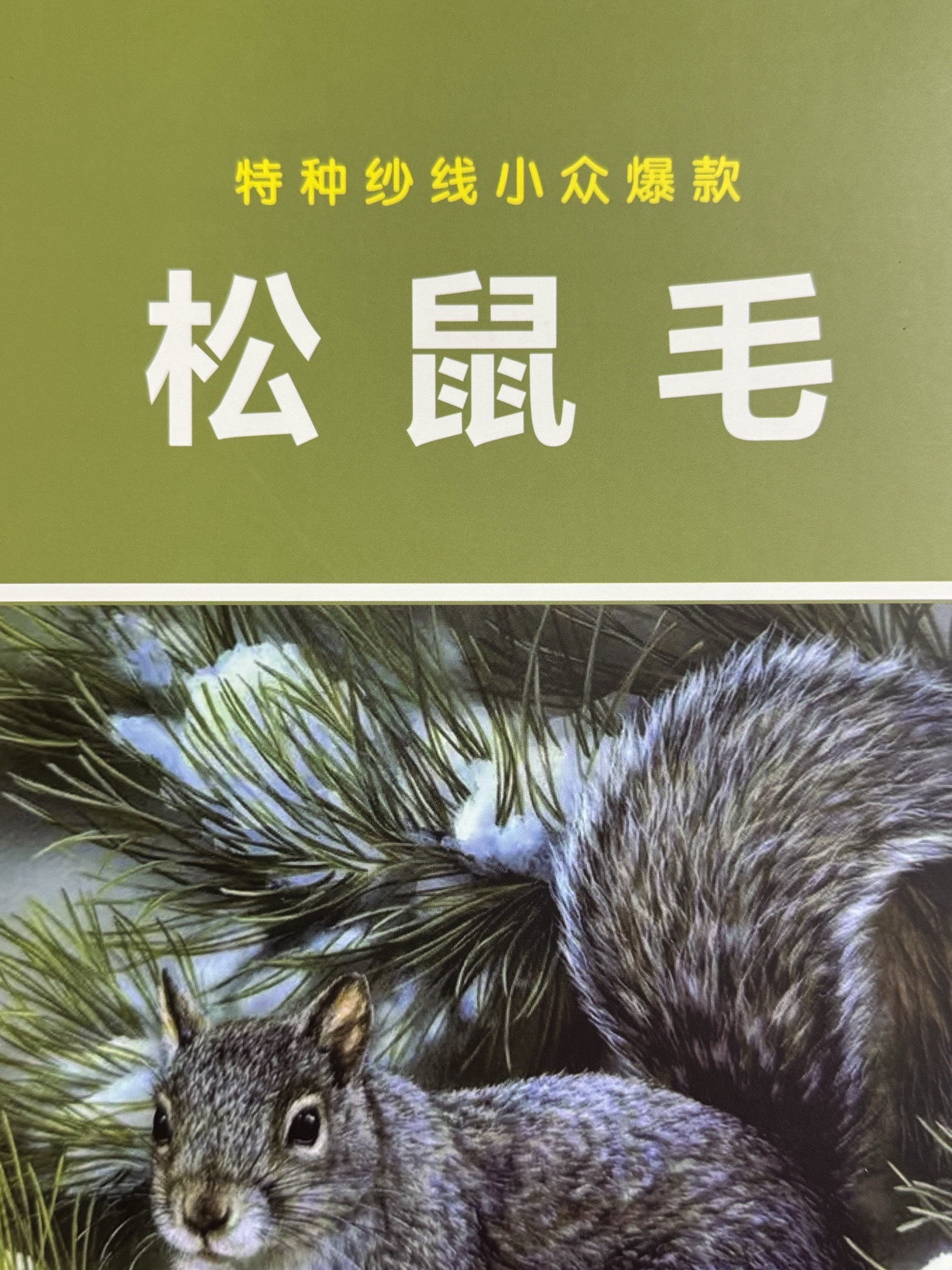 2.3支松鼠毛