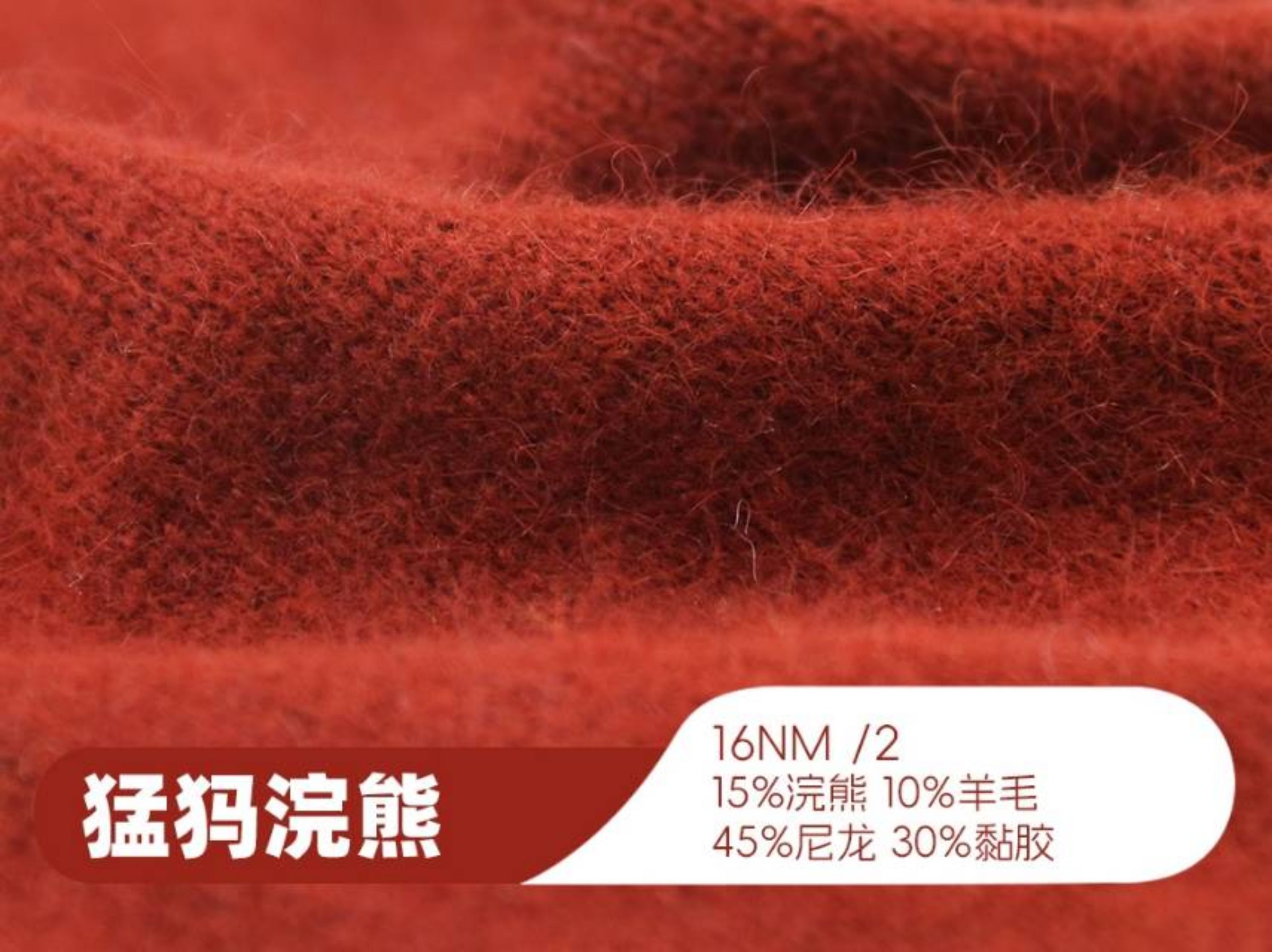 猛犸浣熊/时尚浣熊