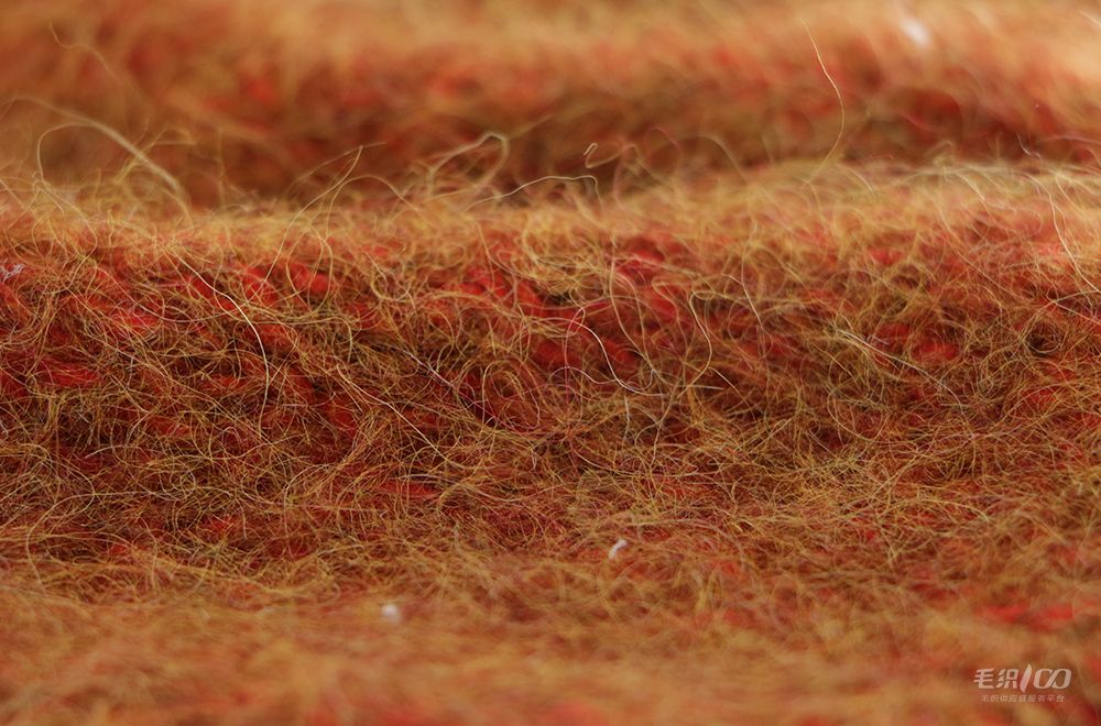 Alpaca·two