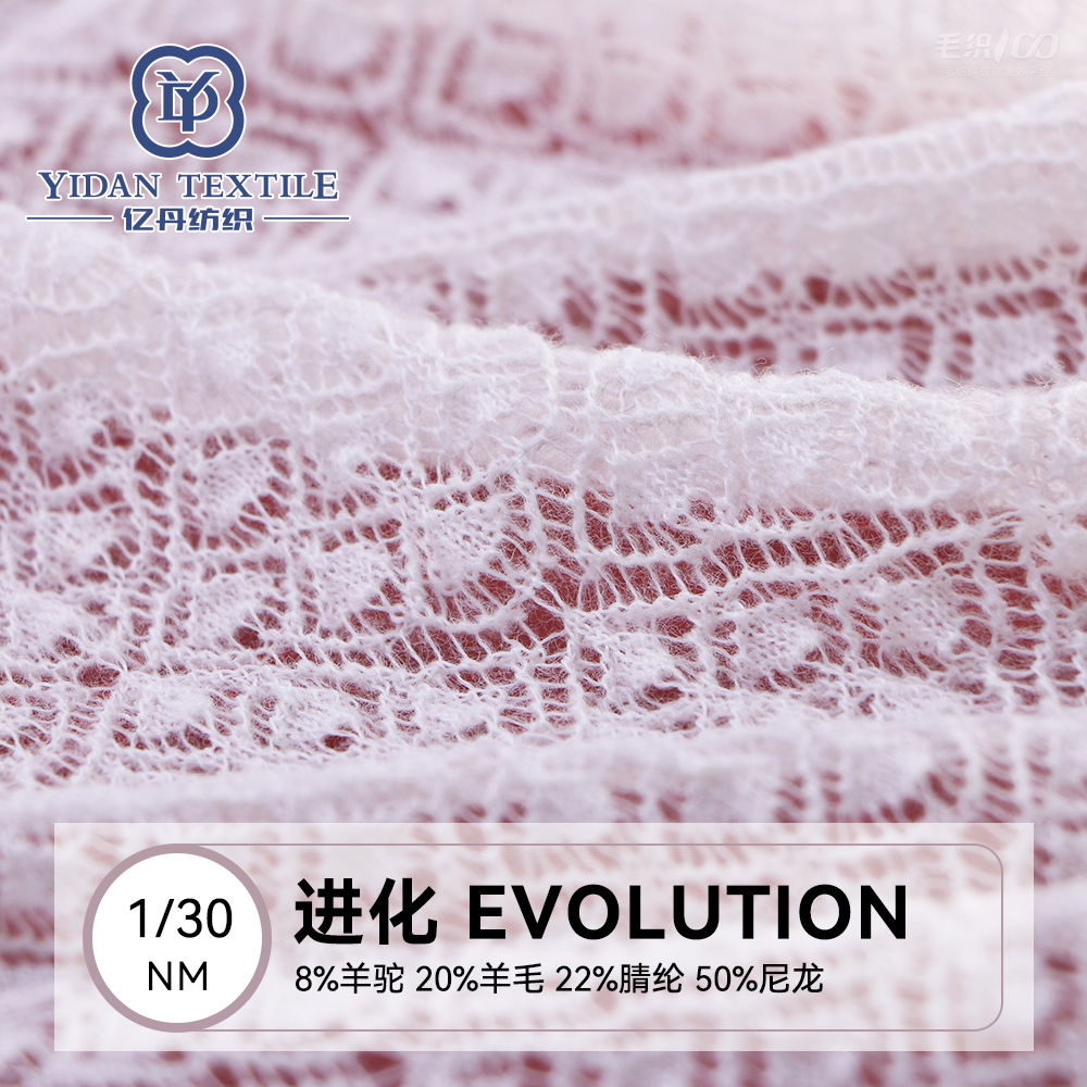 進化Evolution