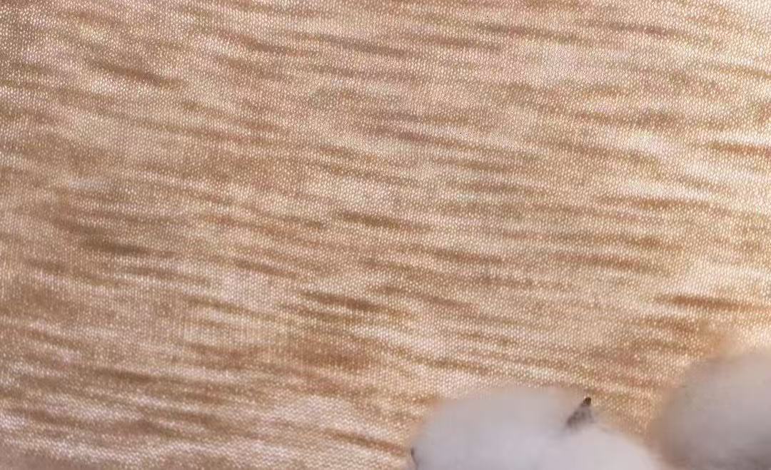 酷爽麻感竹節